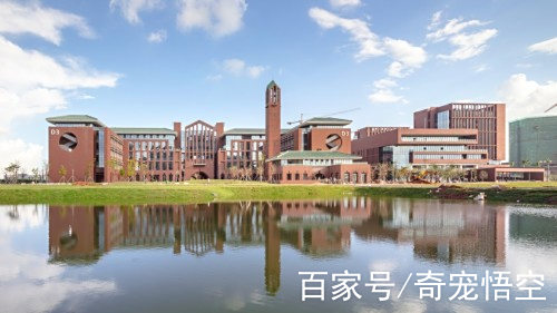 智慧理工大(智慧理工大登录)
