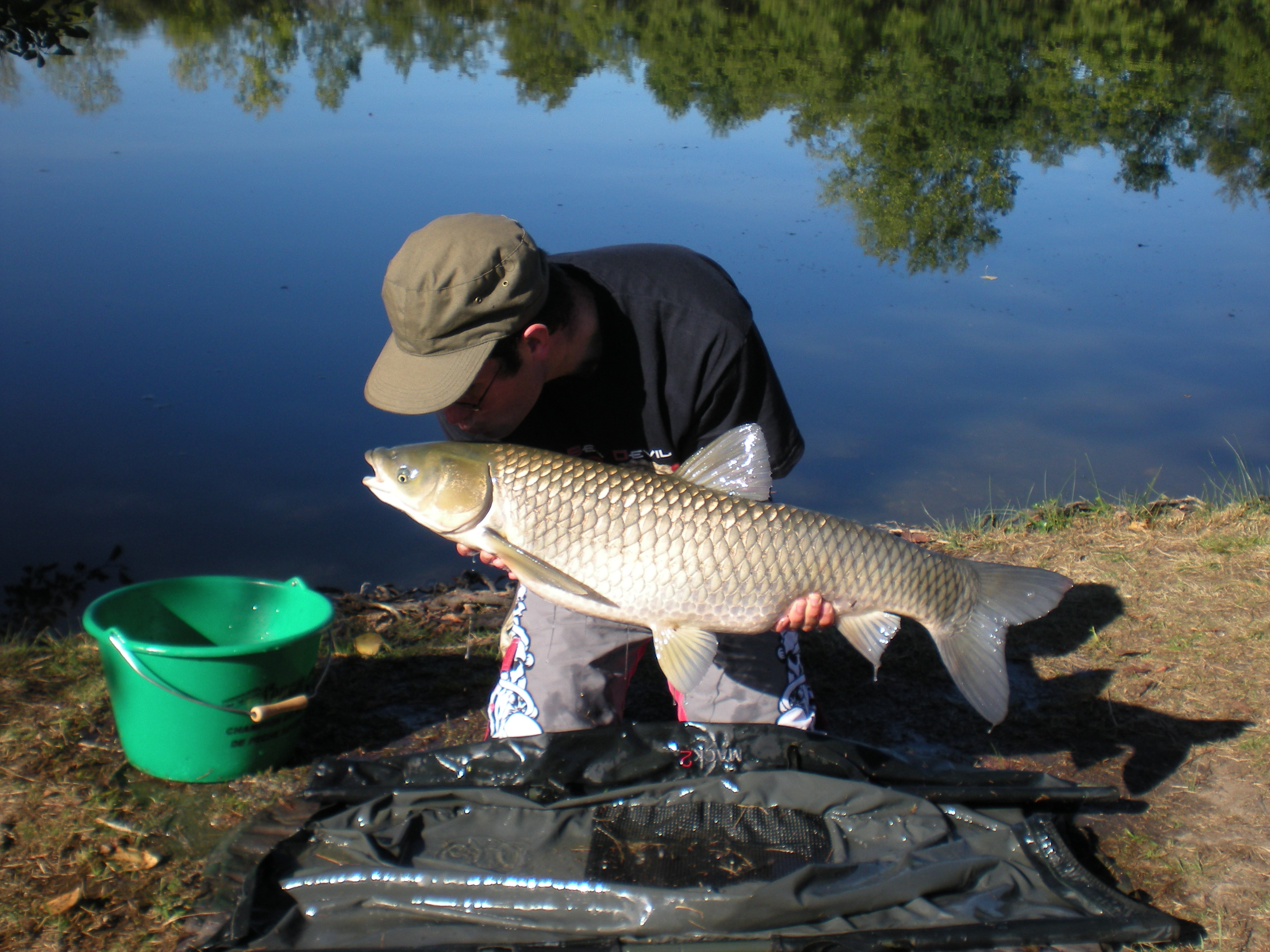 老钓友总结了一个钓草鱼的高招,都是经验呐