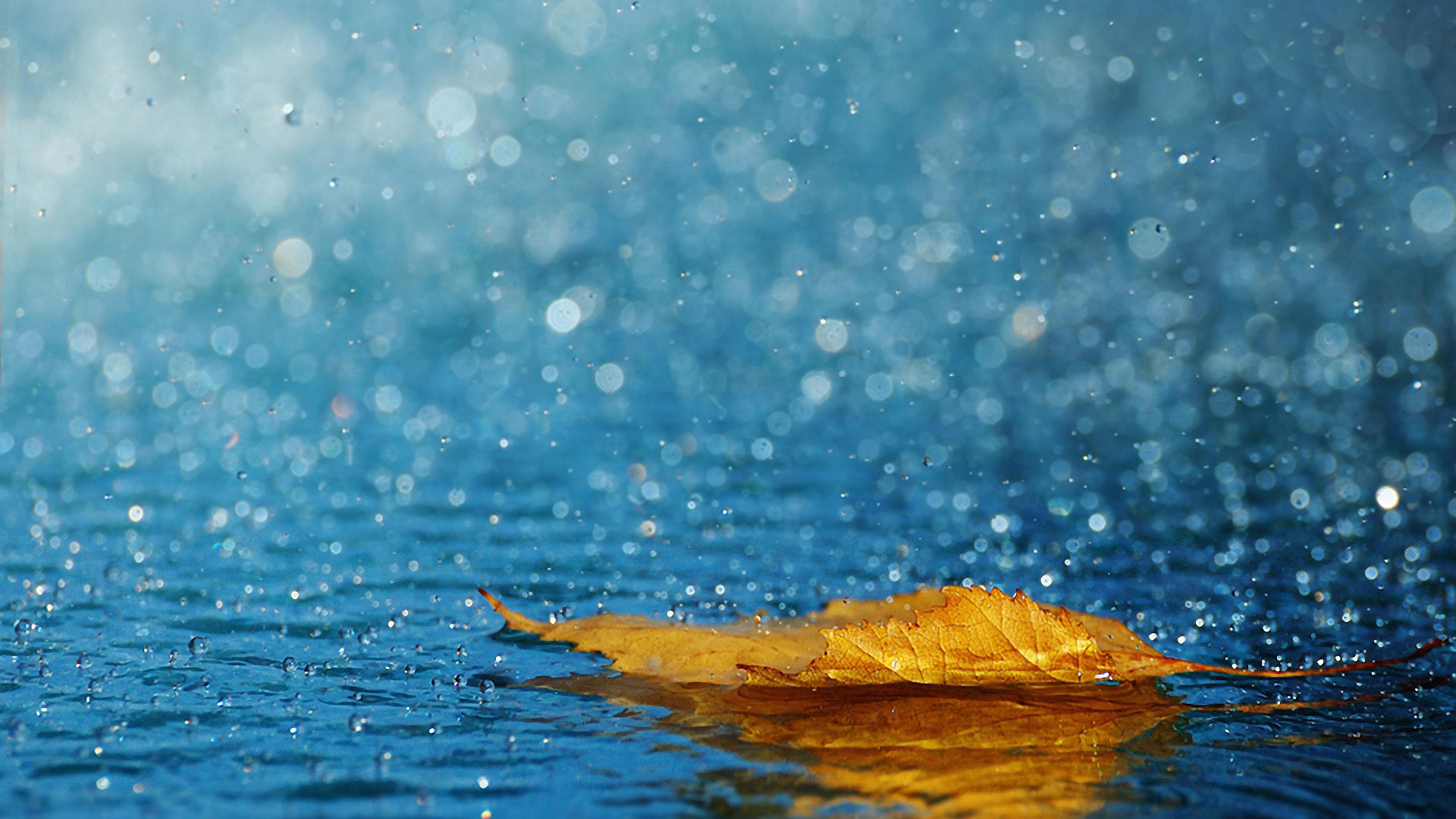 下雨图片风景真实照片图片