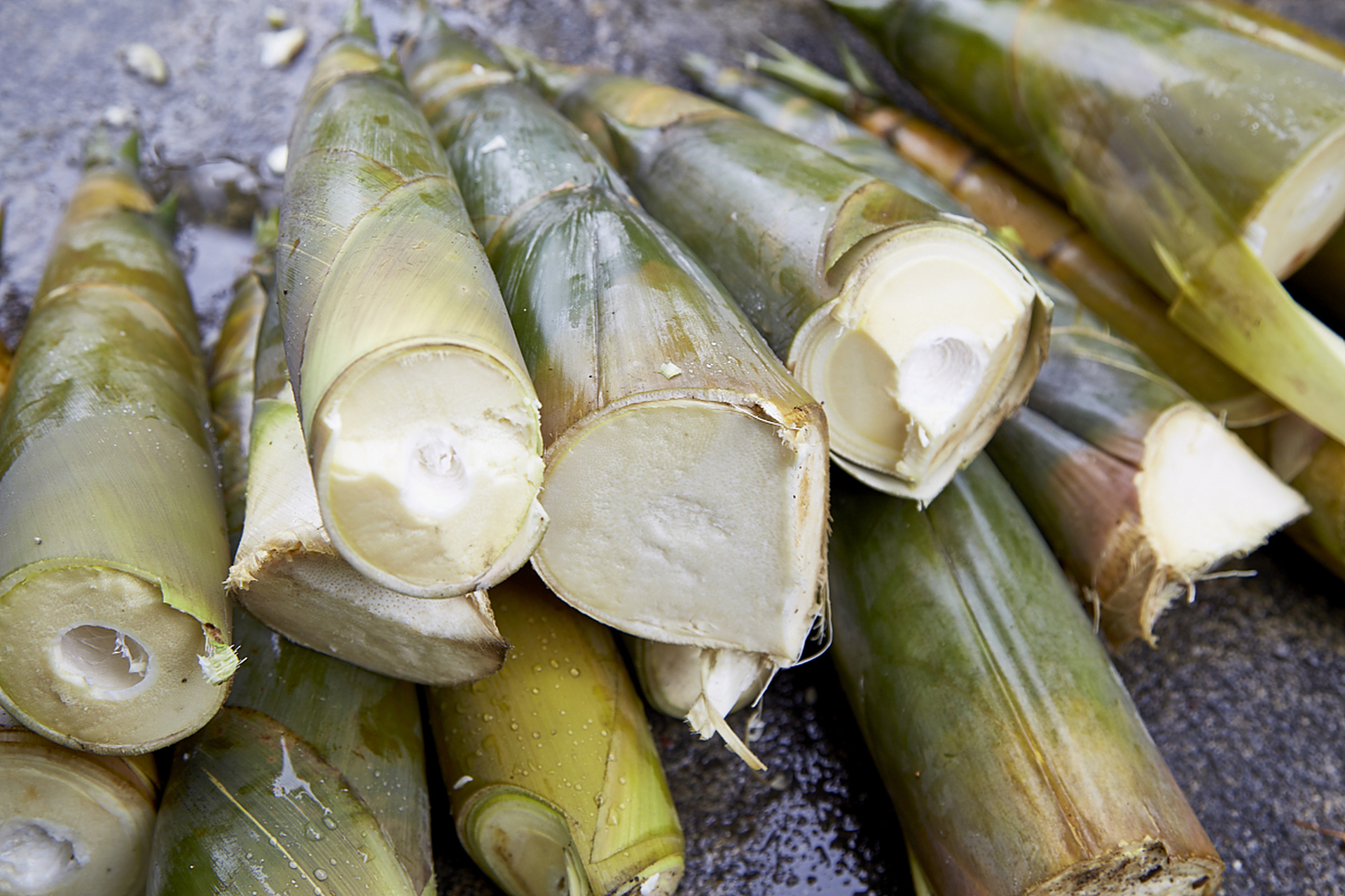 秋日生活创作季# 斑竹笋的处理步骤如下:  将斑竹笋放入清水中浸泡