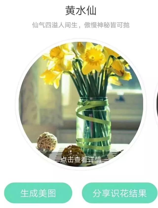 形色识花,扫一扫告诉你花的名字