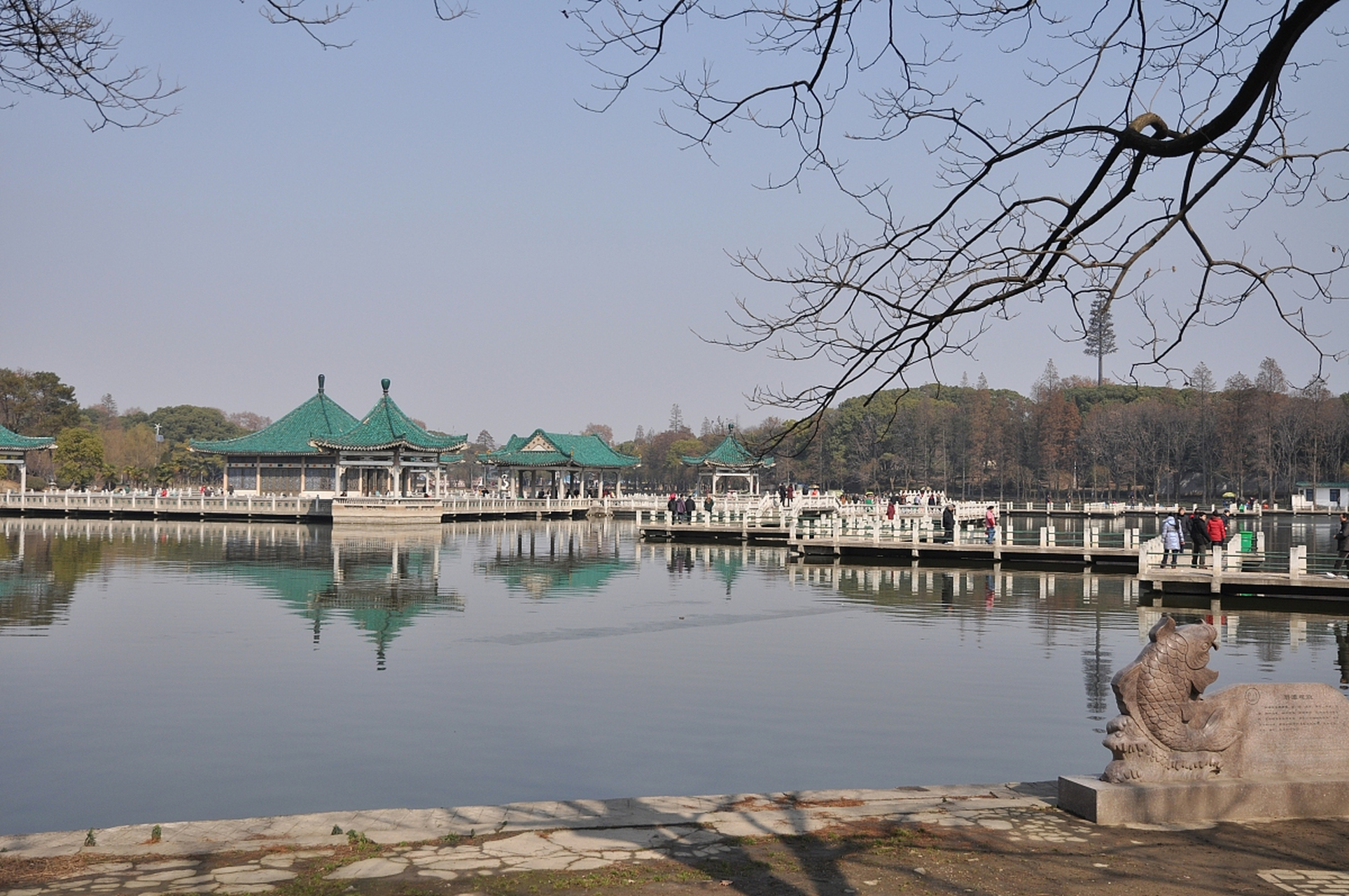 东湖听涛风景区,这可真是武汉的一颗璀璨明珠啊!