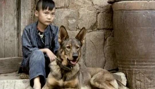 童年时候的梦想电影《犬王》,看过的绝大部分都是80后