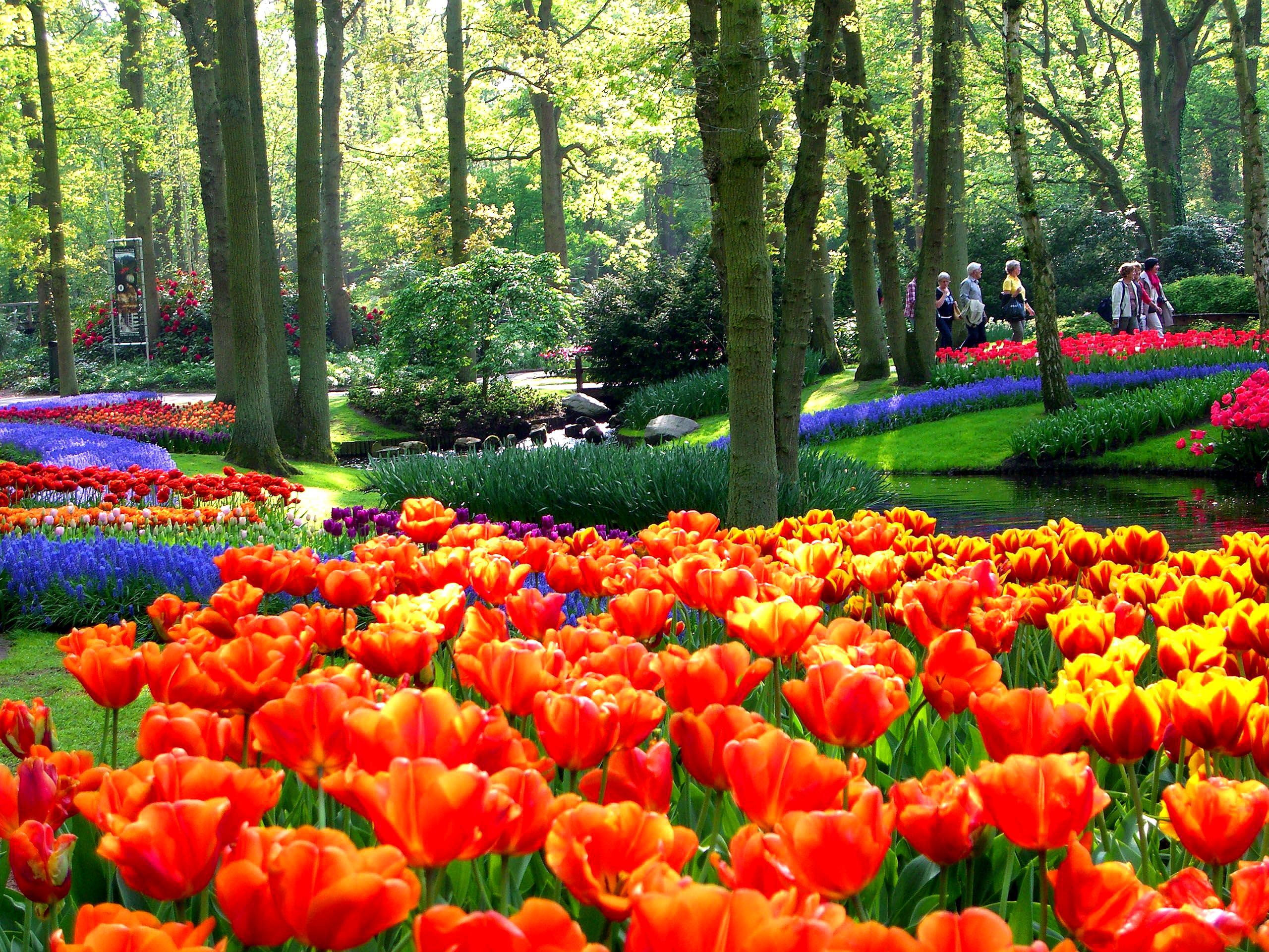 世界上十个最漂亮的公园,亚洲仅一个花园上榜,其中三个属于法国