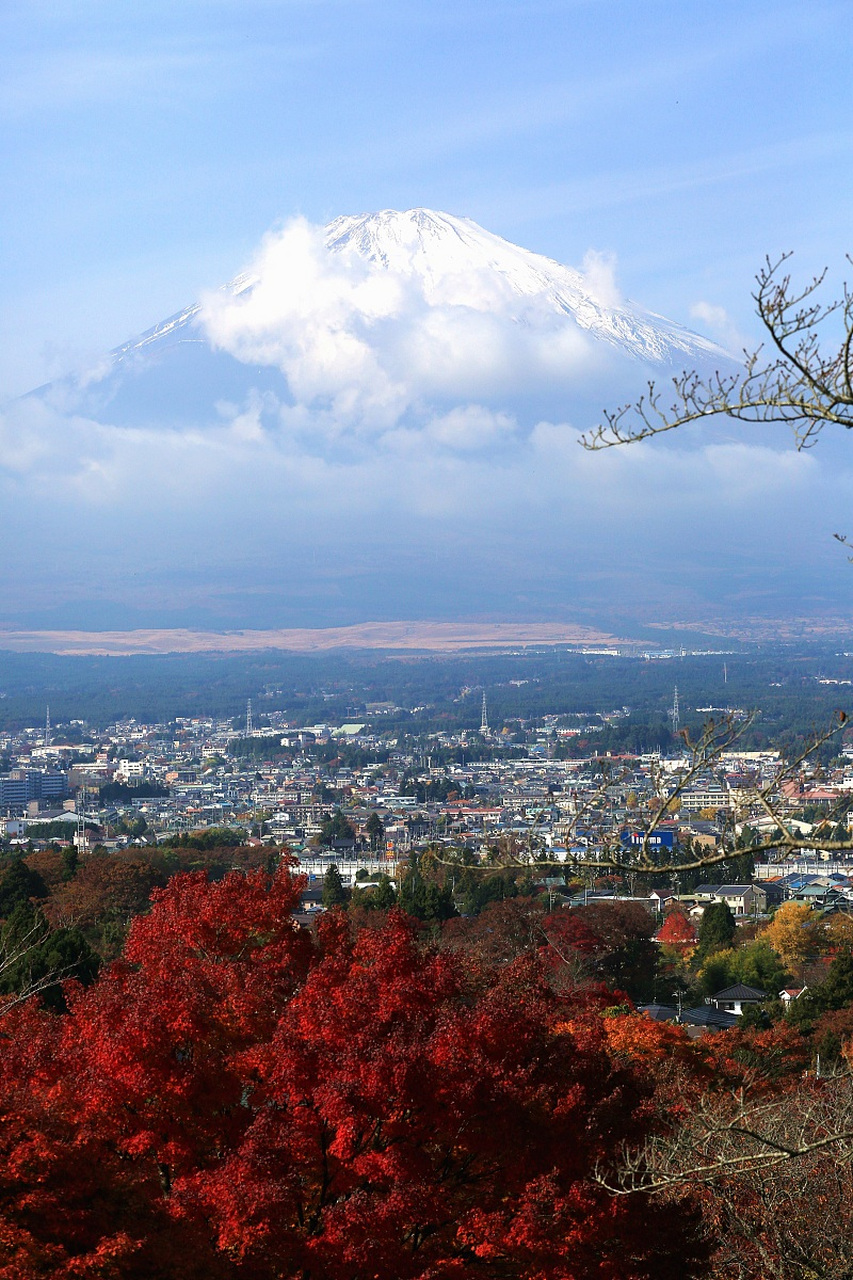 据日本国家旅游局提供的数据,目前赴日游客人数已经恢复到疫情前