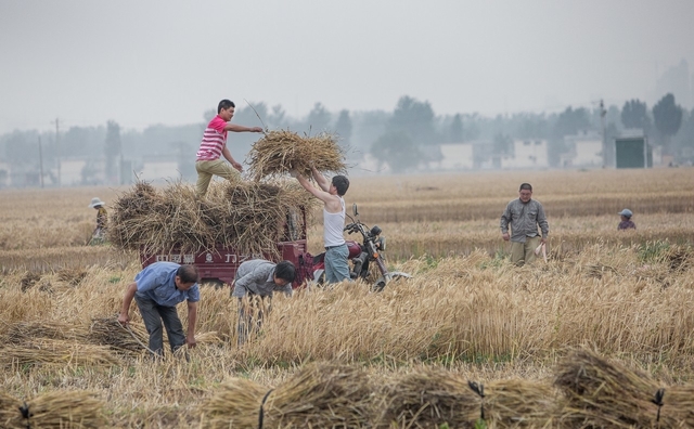 通过图片来回忆曾经农村的麦场,感受那个年代父母辈的心酸和繁忙