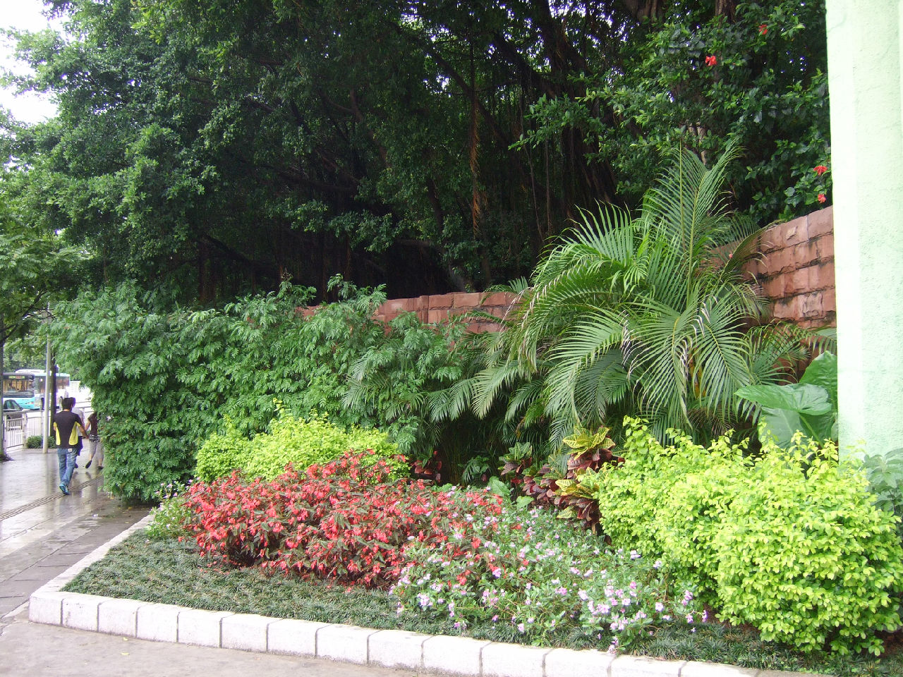 桔钓沙,深圳中心公园(深南皇岗立交).细数广东·深圳值得一游的景点