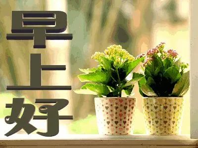 微信清早祝福语漂亮图片表情,早安正能量问候句子短信