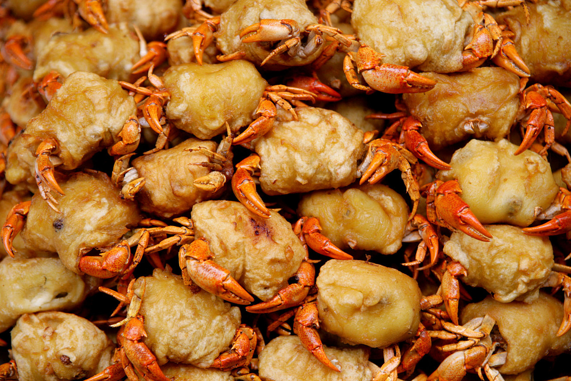 正念觉察每一口食物的味道:遵循一次一事的原则,专注