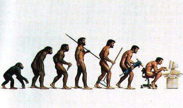 猿猴进化到人的图片女图片