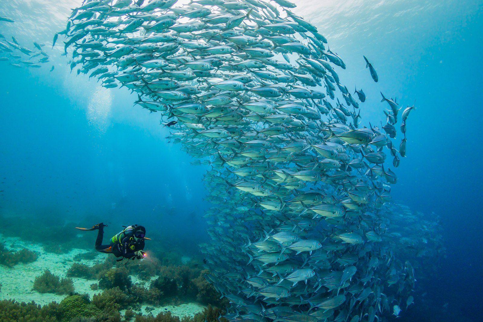 菲律宾薄荷岛巴黎卡萨潜水图