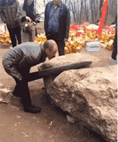 搞笑gif:一个急撒车看出来兄弟俩日常的感情,交友需谨慎!