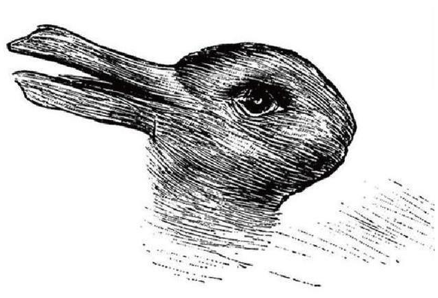 心理测试:下图,第一眼看到是鸭子还是兔子,测测你的爱情与性格