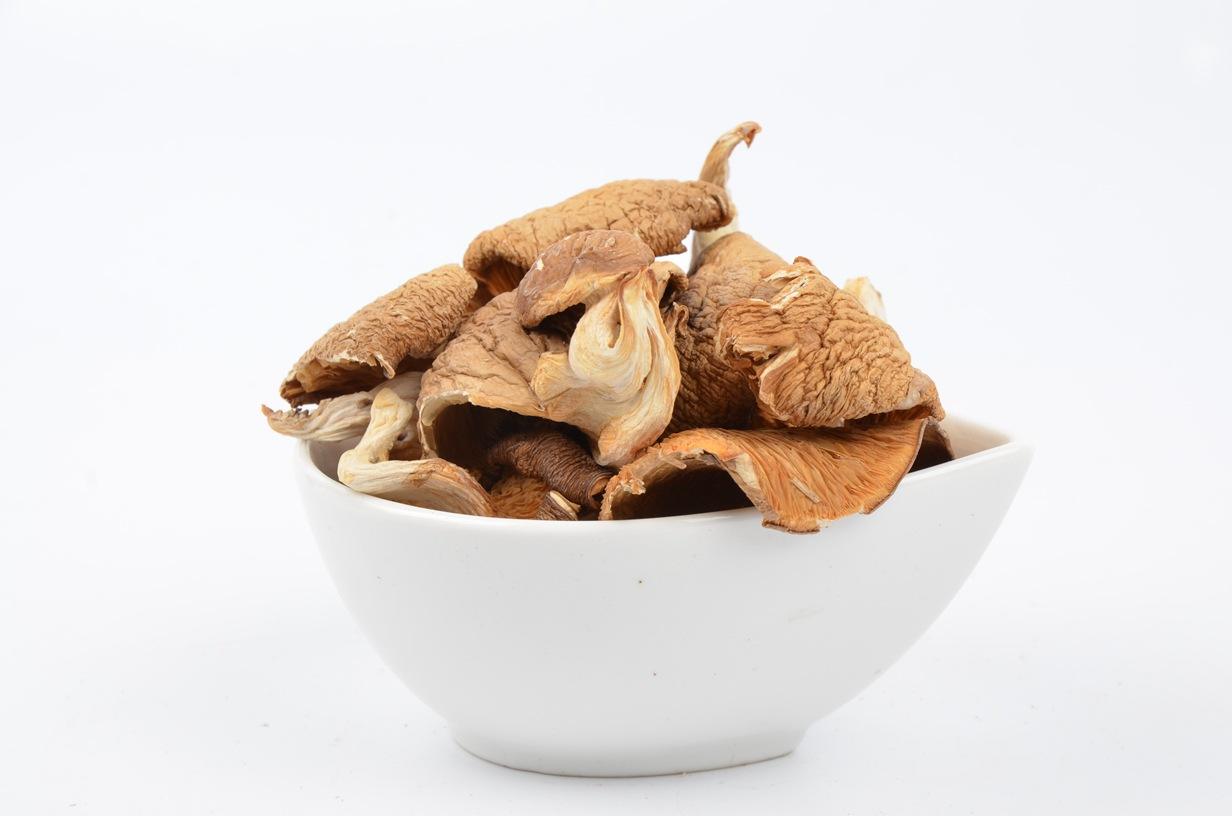 鲍鱼菇那么美味,还能增强我们人体的免疫力