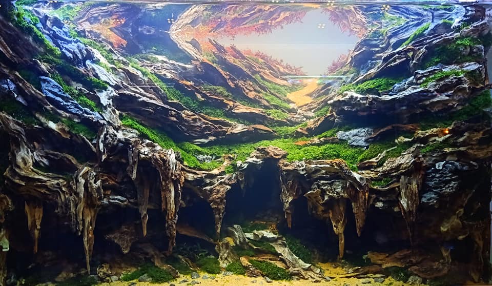 鱼缸布景 - 热门商品专区