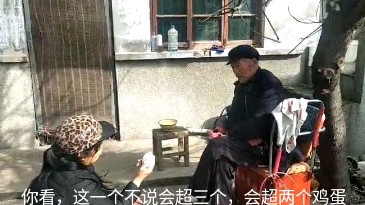 养了八个月的鹅下蛋了,拿给俺爹去瞧瞧,鹅蛋还挺大