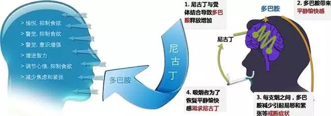 烟民注意!戒烟过程中可怕的戒断反应你有过吗?