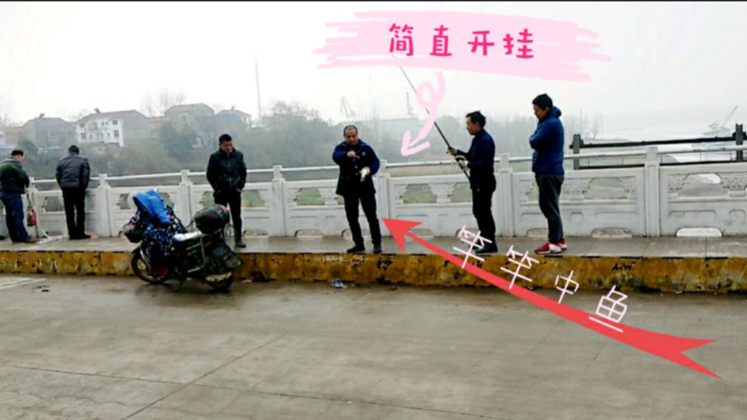 大师锚鱼神操作,竿竿中大鱼,令围观的人叫绝