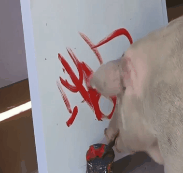 一头热爱画画的猪,画作一万美元一幅,网友:我居然不如