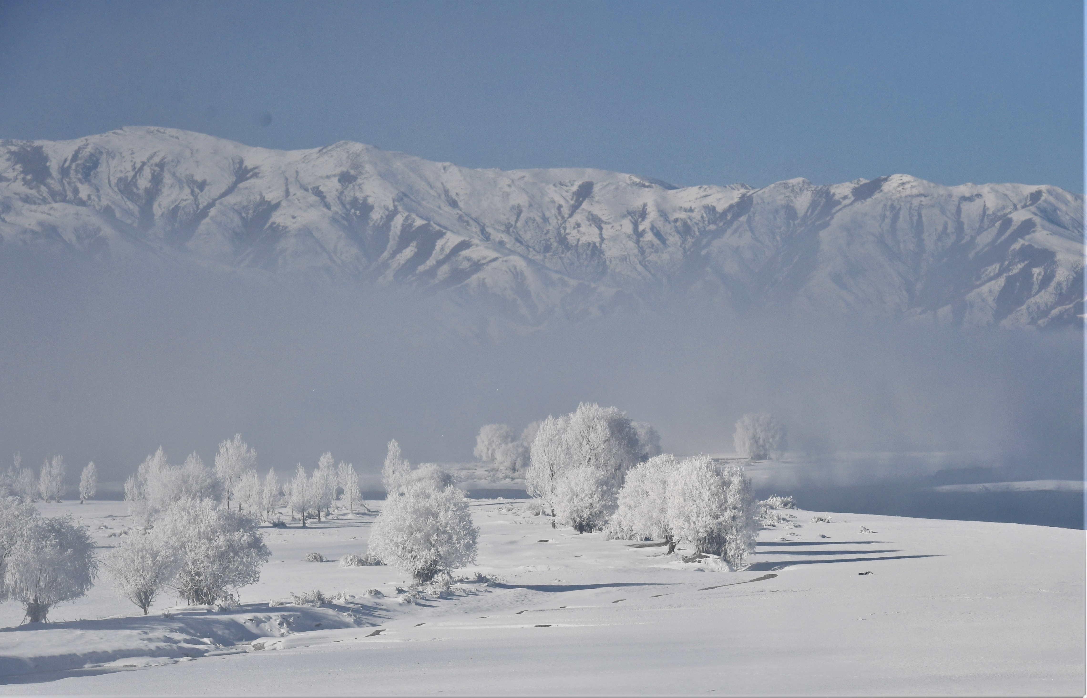 西藏:雅江现雾凇奇观