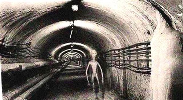 1979年美国人和外星人发生激烈交火的"道西事件"是真实的吗?