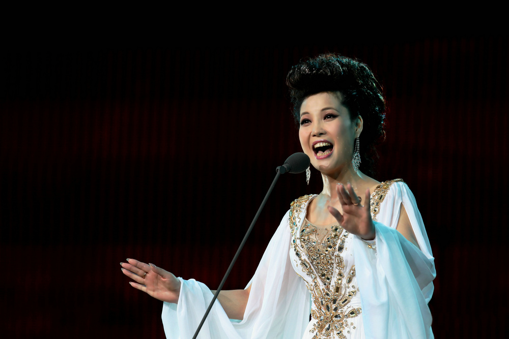 她18岁闯北京22岁上春晚24岁嫁给李双江,如今被儿子坑惨了