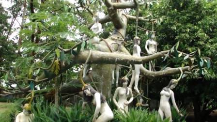 泰国出现罕见"女人树",果实形状和女人相似,游客:真的假的?