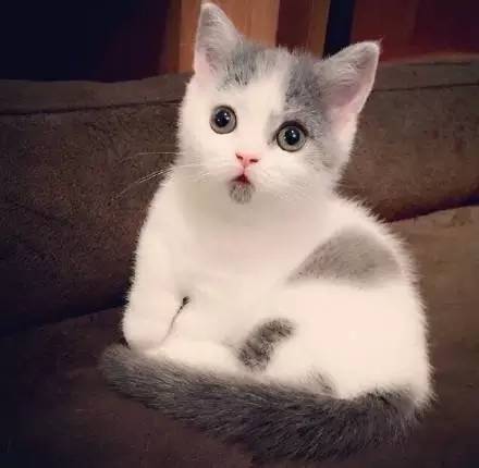 打工一月倒欠195,迟到1小时算旷工,黑心老板每天扣500元