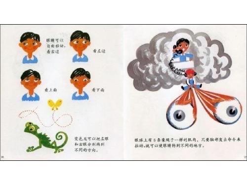 保护眼睛,绘本故事《眼睛的故事》