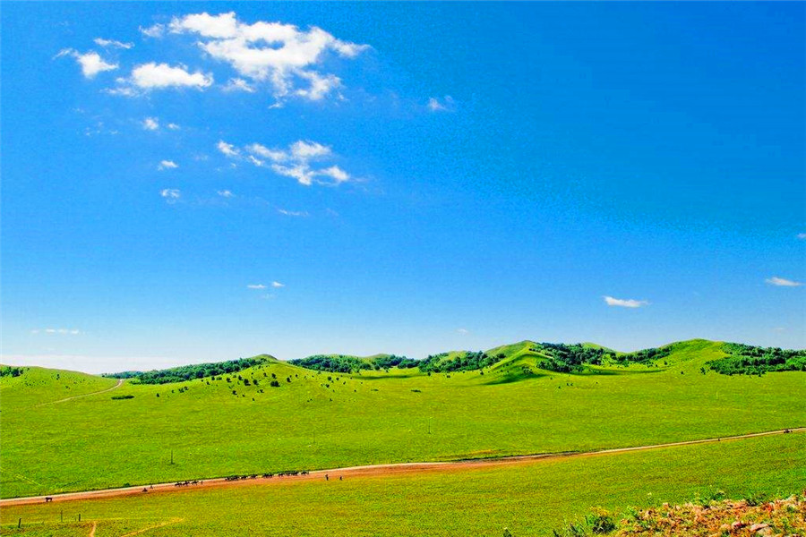 国内旅游:水草肥美牛羊成群,无边无际的草原,很多剧组在此取景