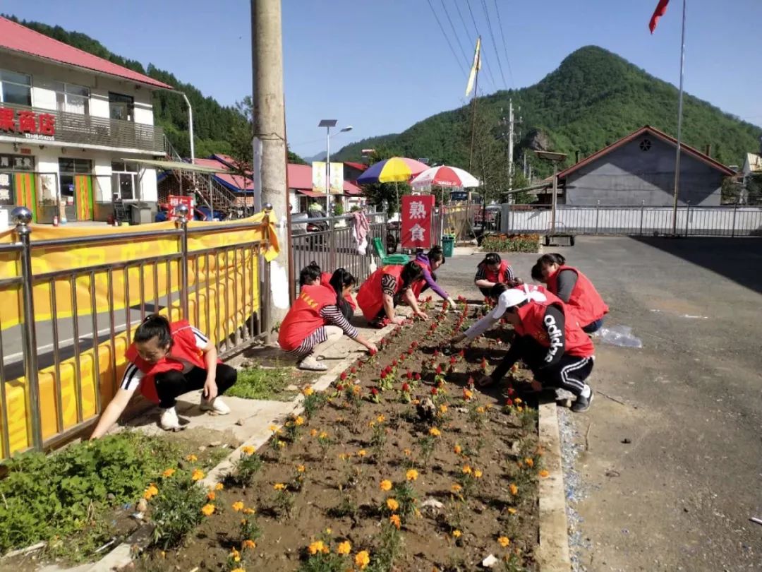 基层动态 | 集安市大路镇妇联开展"清洁卫生我先行"行动