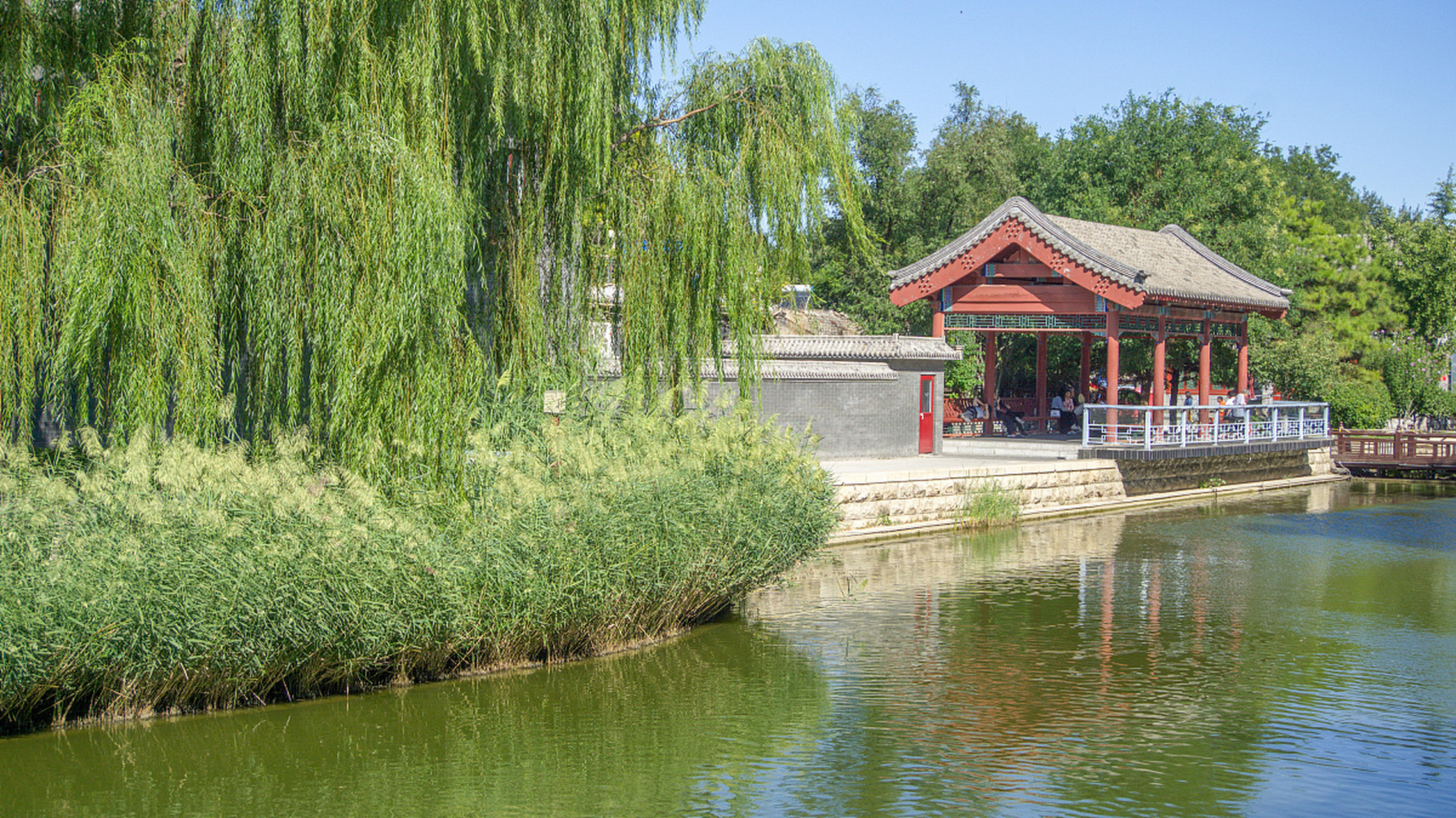 北京紫竹院公园:位于北京市海淀区,是一个古老的园林.