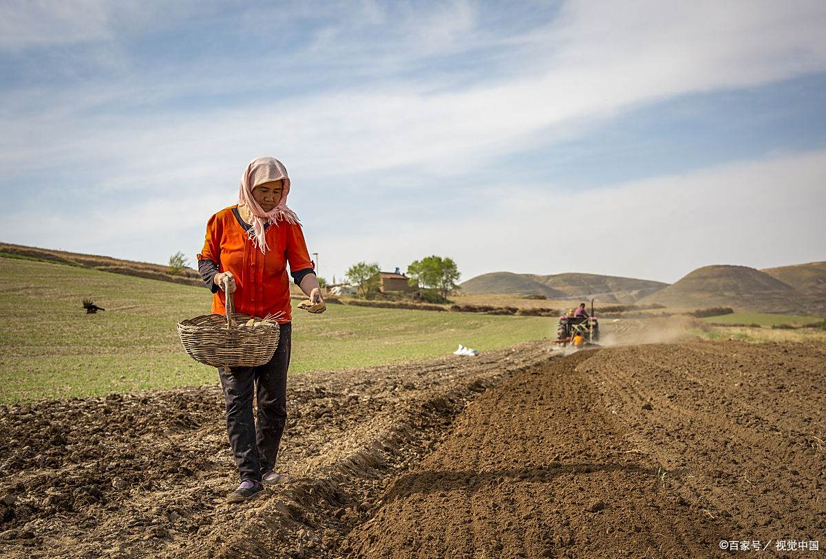 我是一个来自西北的农民!