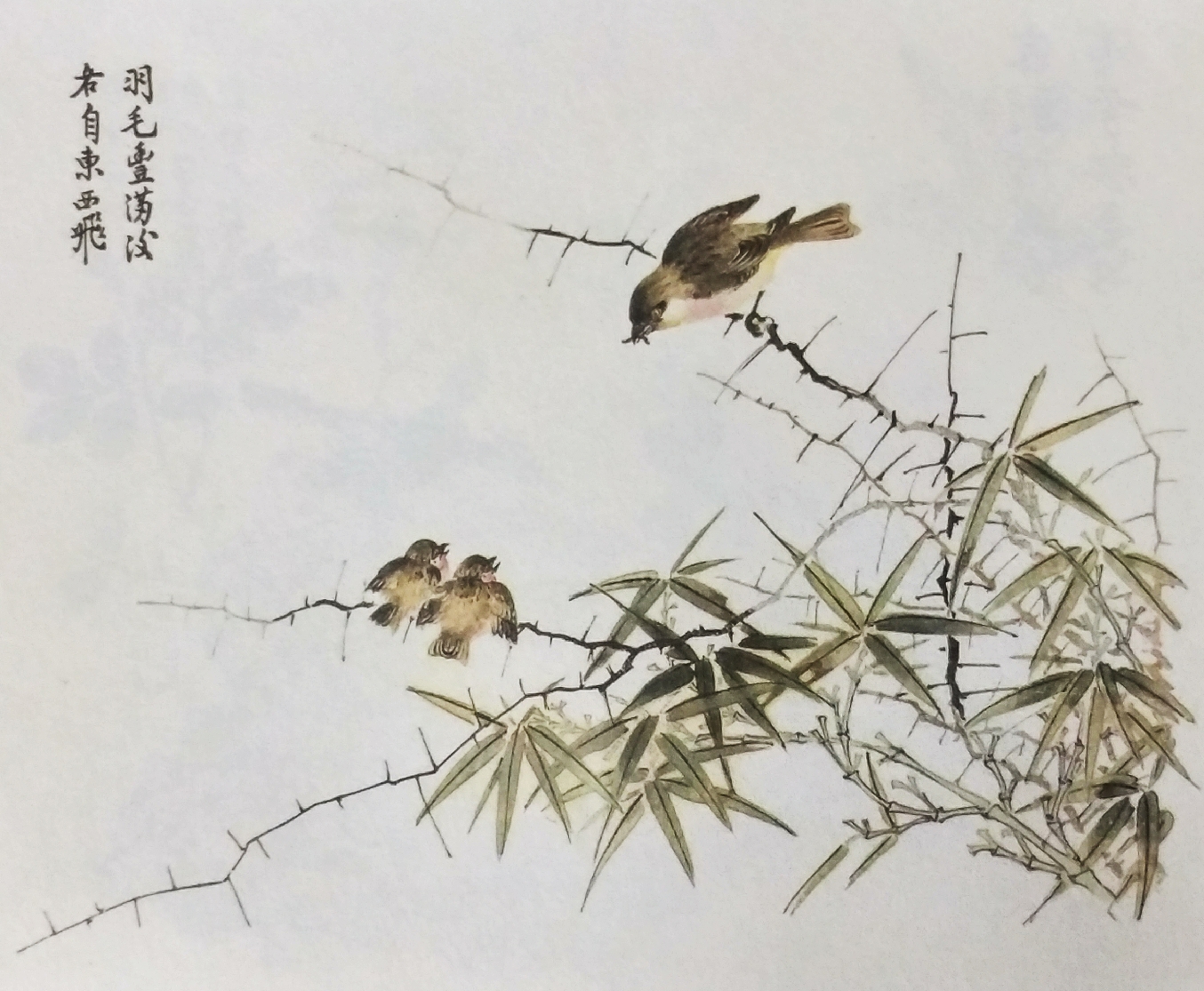 芥子园花鸟画100幅图片