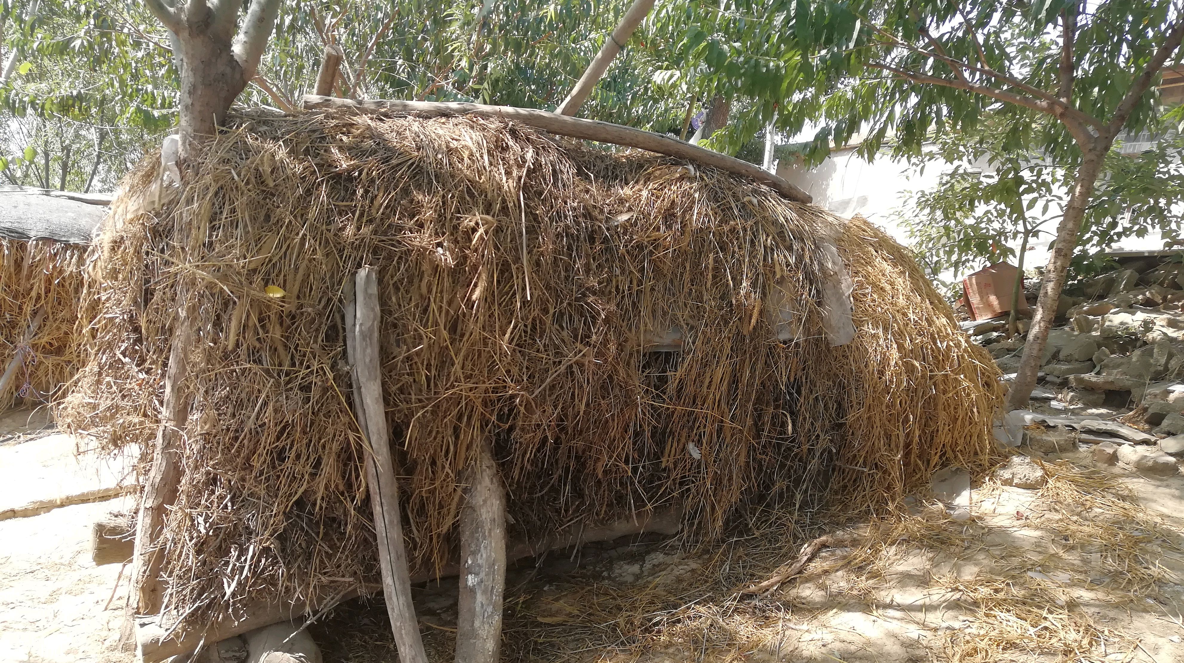 晒晒乡下的柴草垛,国庆假期遇见的不一样的风景.