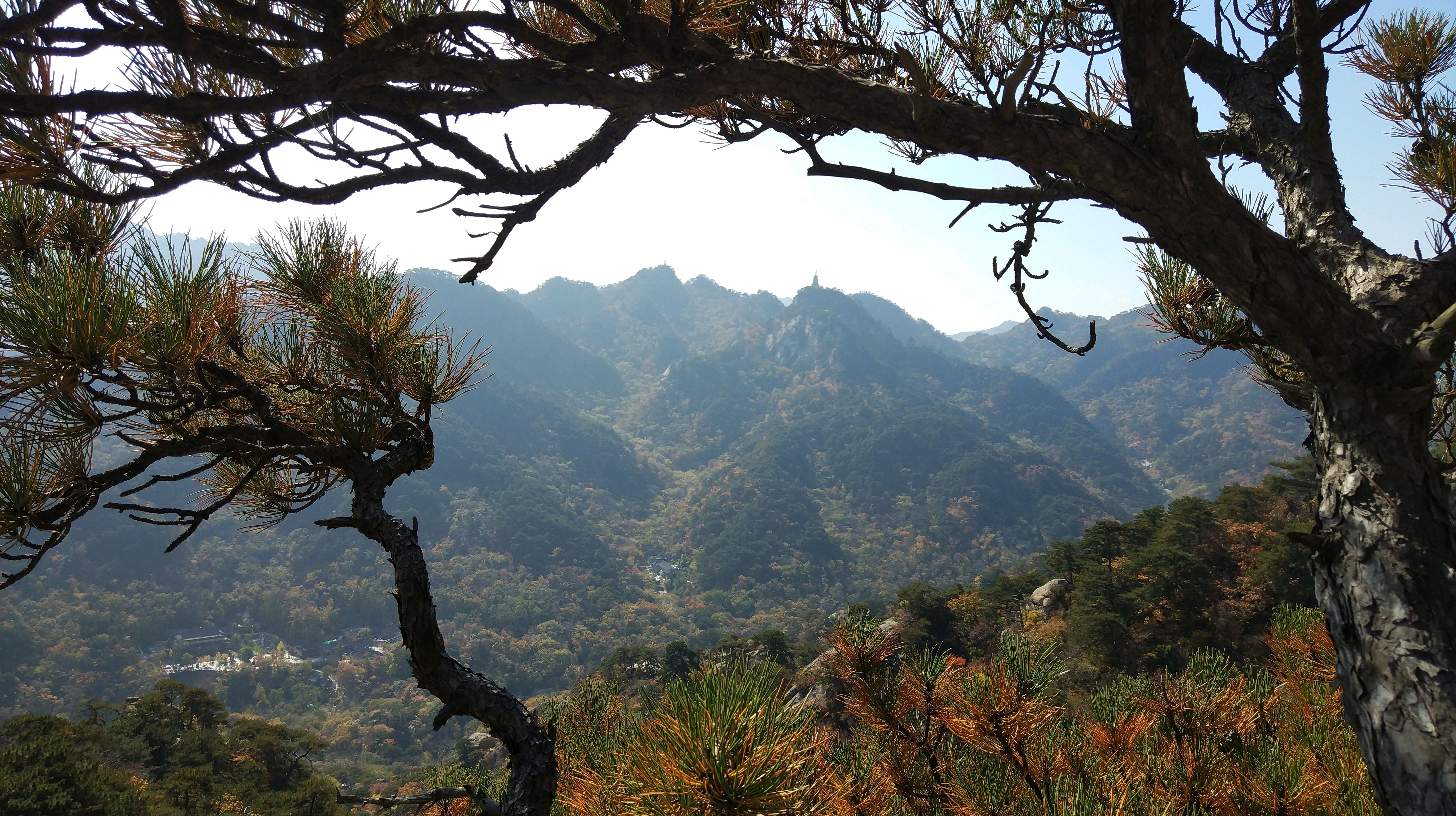 无限风光在险峰(辽宁鞍山千山)