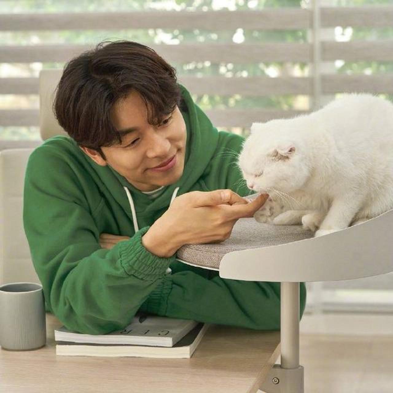 孔刘撸猫,看着这种画面在家待多久都可以吧?#遇见美好