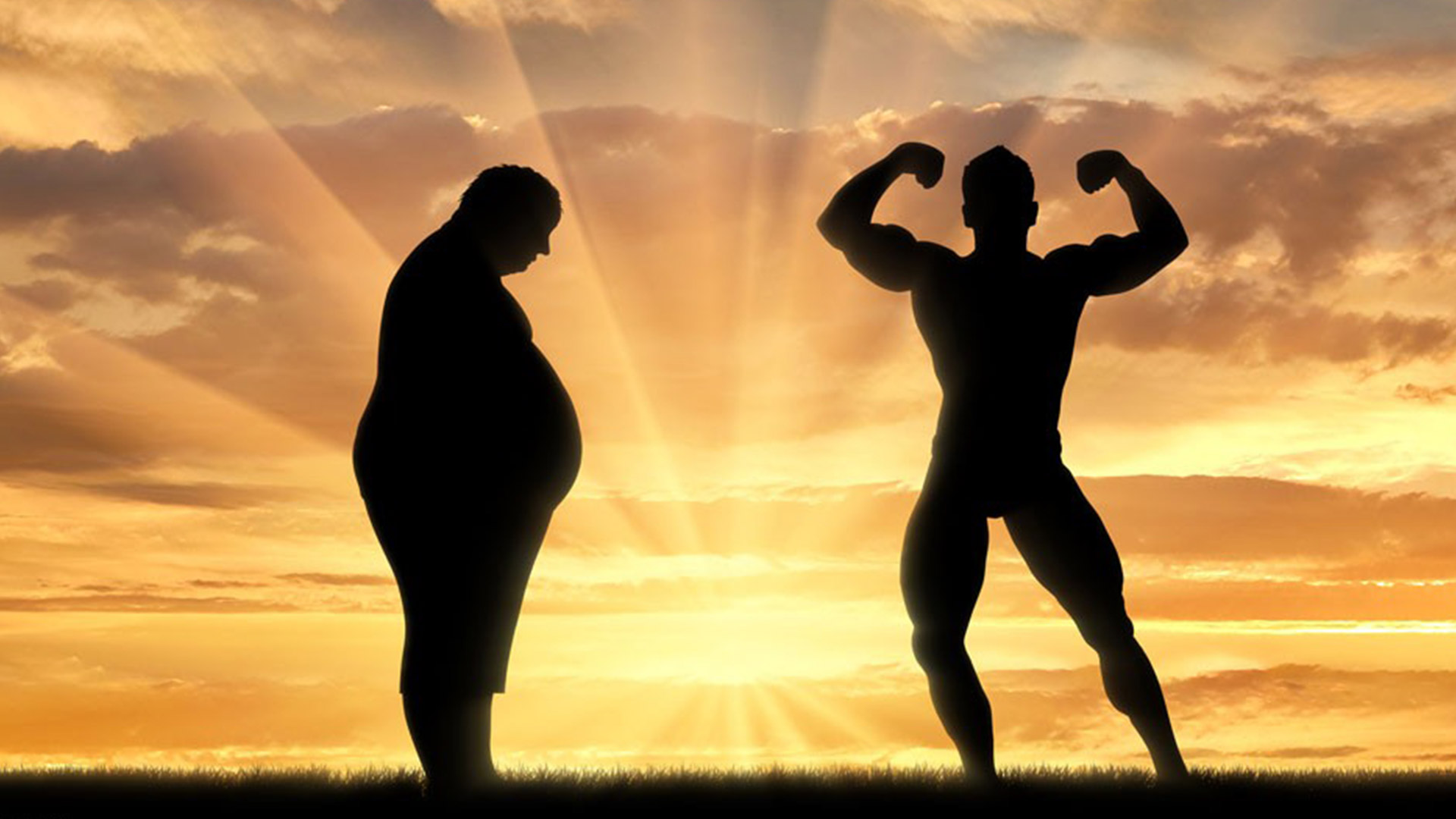 确定我们在一个周期里,怎么分配训练肌肉和针对目标肌肉的训练动作