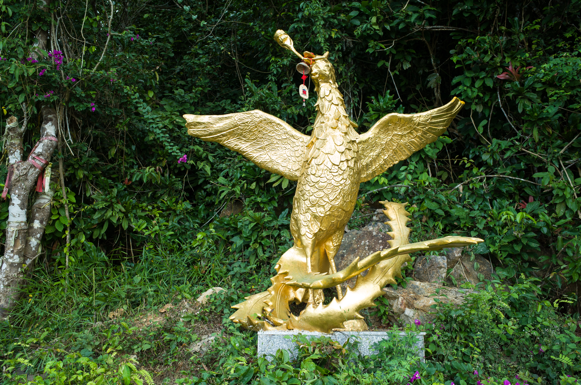三亚凤凰岭,三亚市最高的山峰,被誉为"北纬18°上的爱情圣山"
