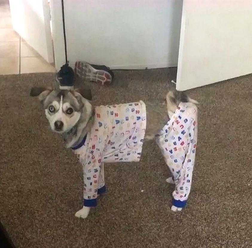 12张搞笑的错觉照片,换个角度看,才会明白是真实存在的