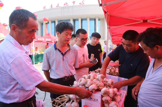种植规模和产量均居全国首位 开封杞县第十届大蒜节隆重开幕