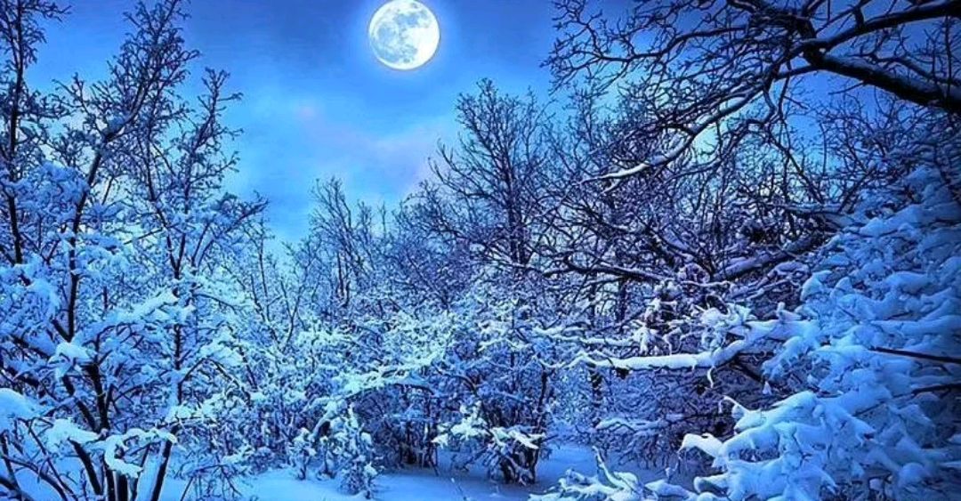 疑窗映月原是雪,只将残梦伴天明!