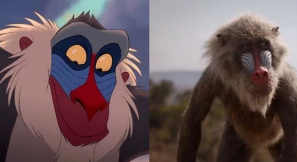 狮子王里有没有这个鸟啊,我怎么不记得,不过右边的真鸟挺像