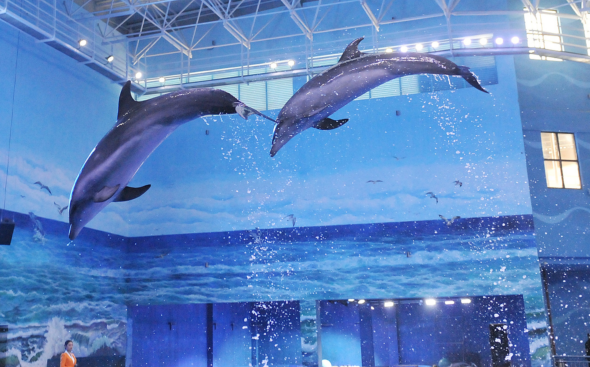 成都海昌极地海洋世界以其独特的魅力成为了秋季成都天府新区最不可