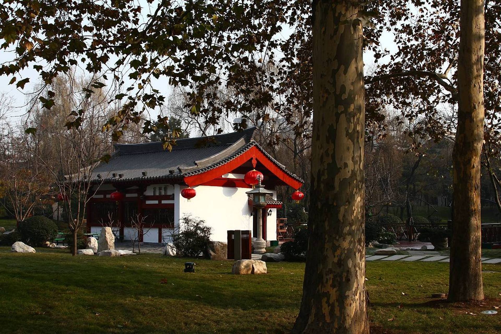 镜头里的春天# 西安唐大慈恩寺遗址公园,位于陕西省西安市南郊,是