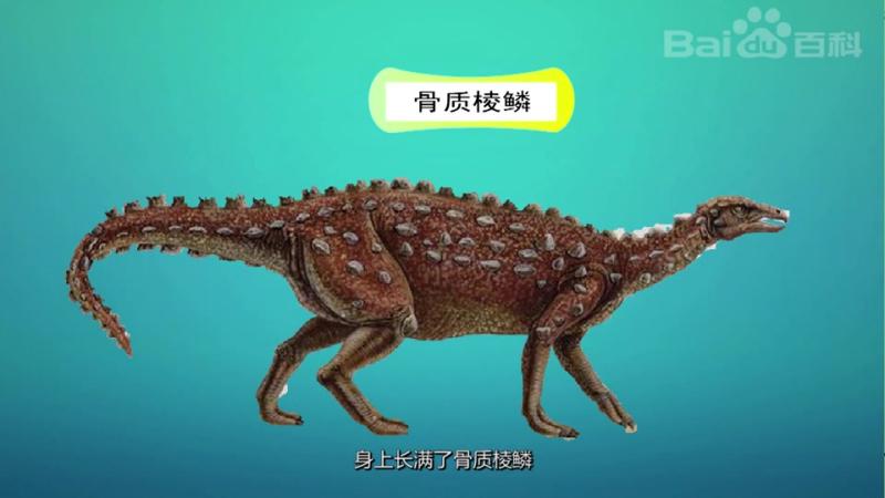 一分钟了解小盾龙,科技,科普,好看视频