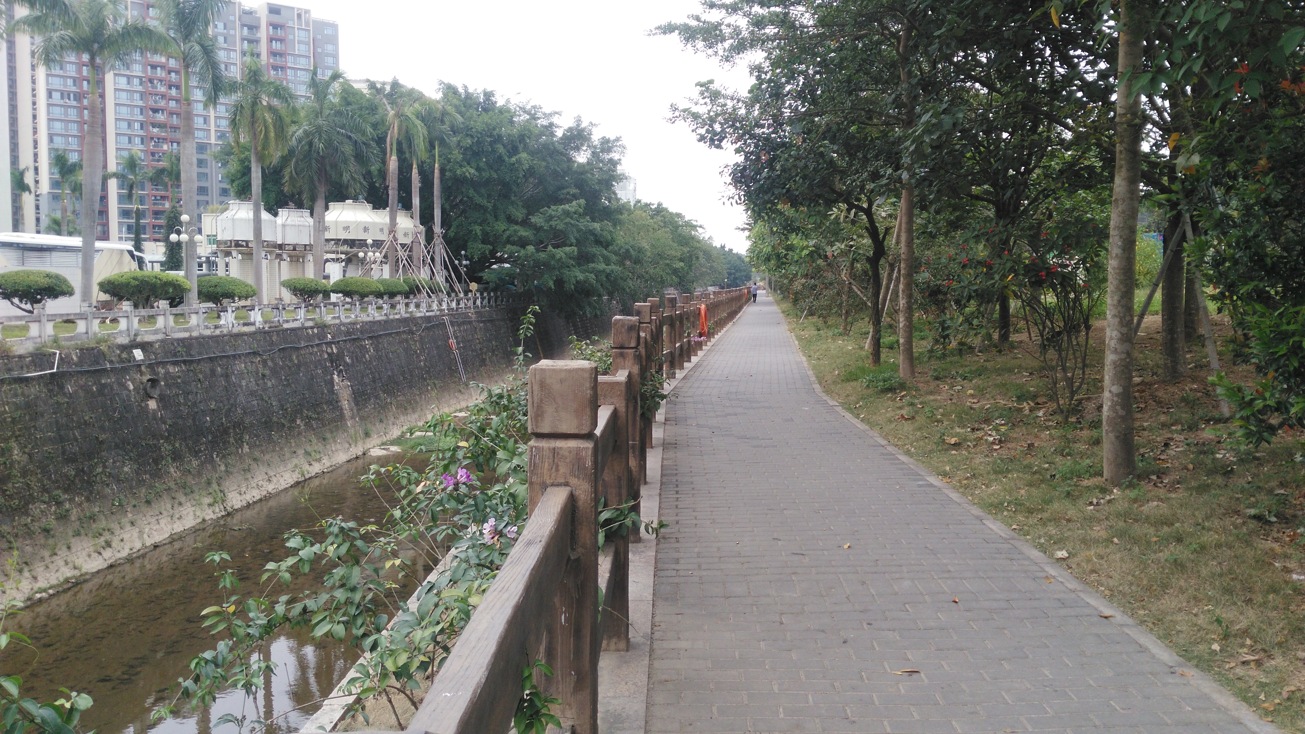 河边建了绿道,适合沿河边散步或骑行.