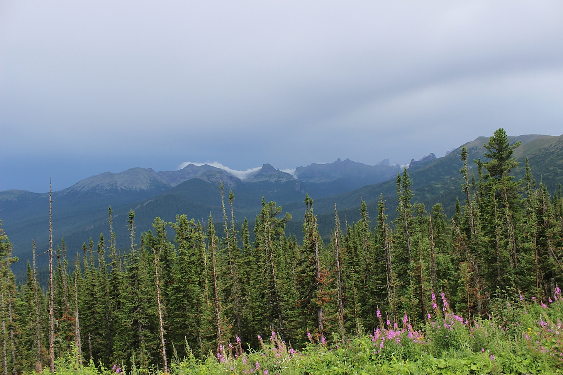 奇遇那拉提#新疆那拉提位于新疆伊犁州,是一个美丽的高山峡谷风景区.