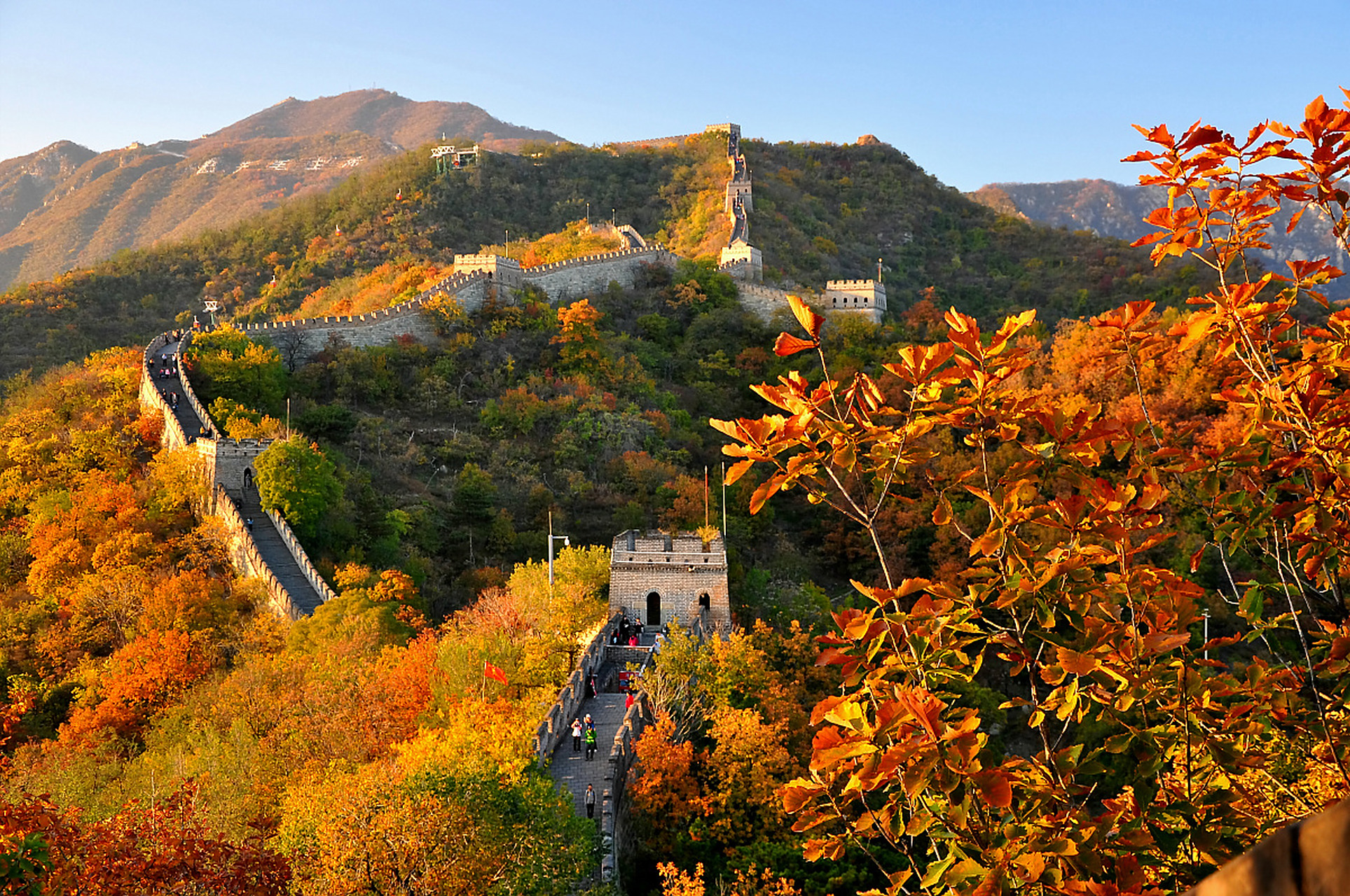 当秋风拂过,金黄的叶丛闪烁着阳光的温暖,纷纷扬扬飘落,将这条古老的