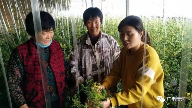 点赞!韩冬雪:办好合作社带富一方人